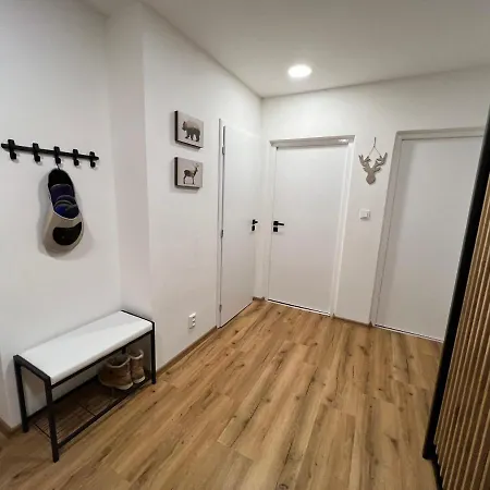 Lägenhet Visek Jáchymov