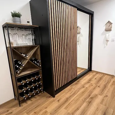 Apartment Visek Jáchymov