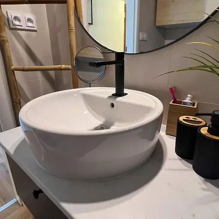 Visek