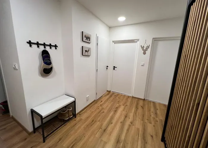 Apartman Víšek Jáchymov