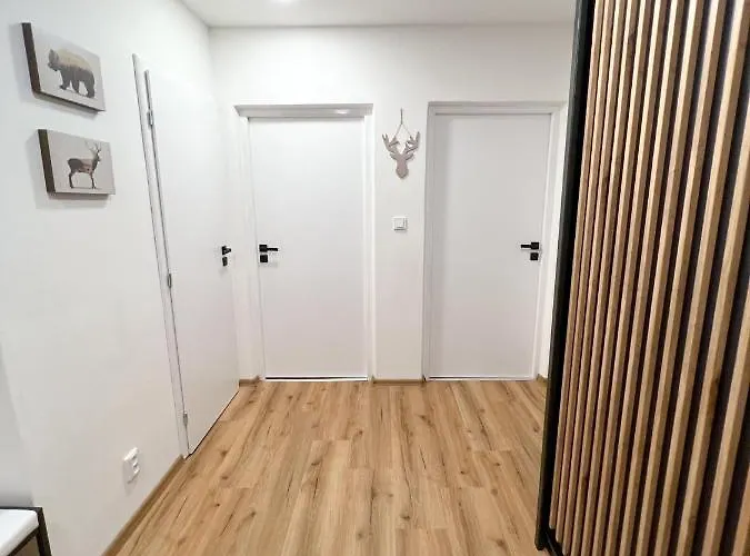Visek