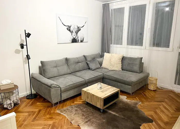 Víšek *